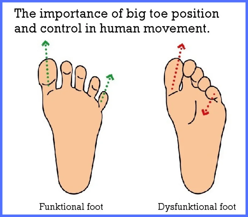 94f6d7e04a4d452035300f18b984988c_5d7bedef0328e