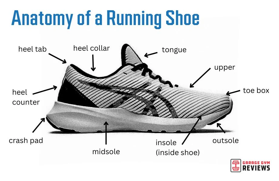 A graphic showing the anatomy of a running shoe