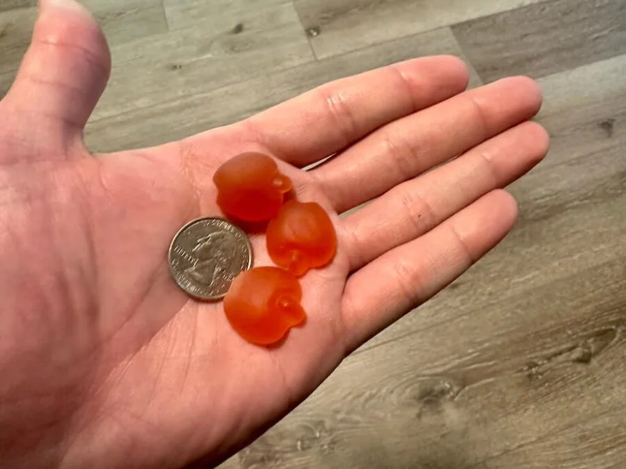 Bub's Naturals Apple Cider Vinegar gummies as best apple cider vinegar gummies