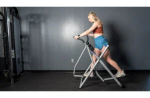 Gazelle Freestyle in use