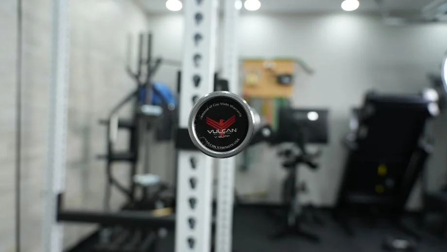 Vulcan Buffalo bar end cap