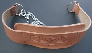 Dip Belt 1