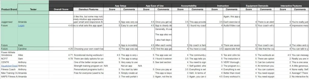 Screenshot of our testing sheet for rating the best online workout programs