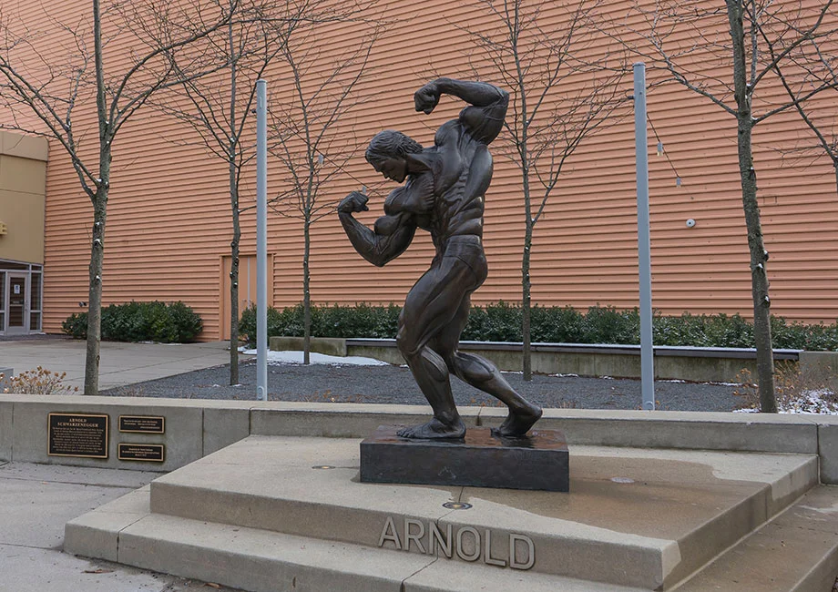 Arnold’s Arm Workout: The Ultimate Sleeve Pump