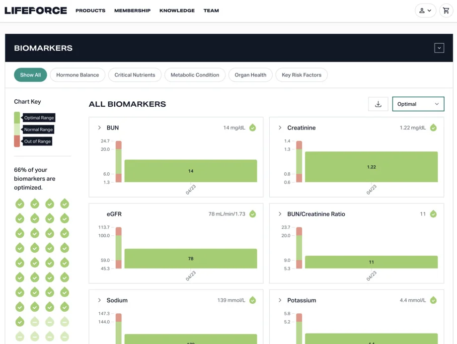 life force dashboard 2