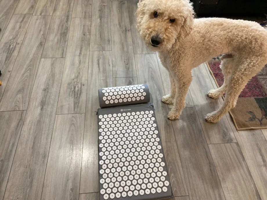 The 8 Best Acupressure Mats (2026): De-Stress With These Beds of Spikes