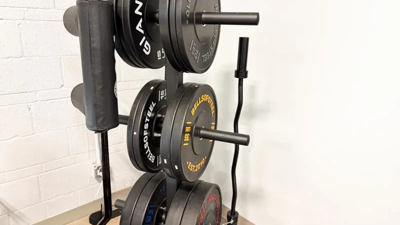Best Plate Trees (2026): Our 5 Top Picks to Upgrade Your Home Gym Storage