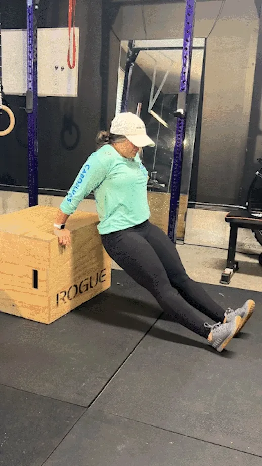 box dips