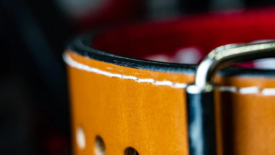 Pioneer Cut Powerlifting Belt detail